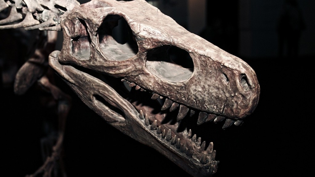 Πώς φαίνονται τα οστά δεινοσαύρων